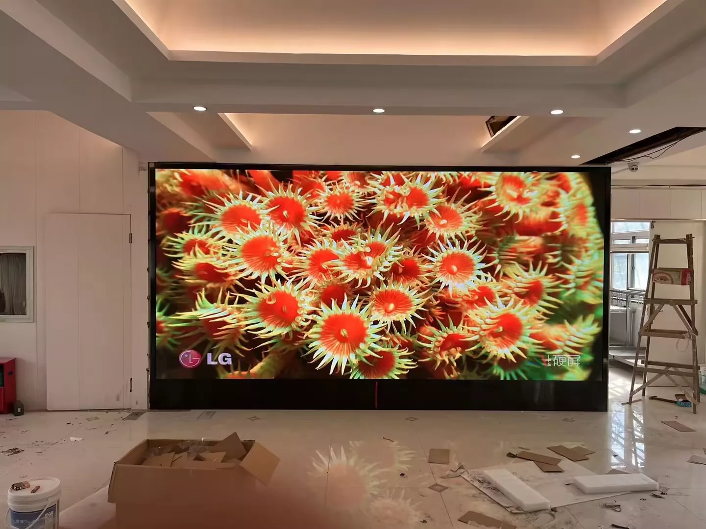 暂时没具体信息
